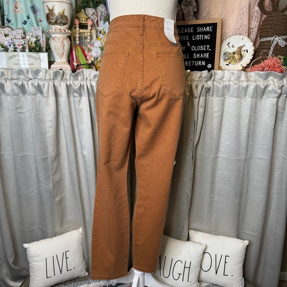 Belk Women's Skinny Pants in Rust - Picture 10 of 11